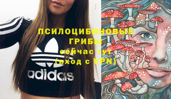 амф Краснотурьинск