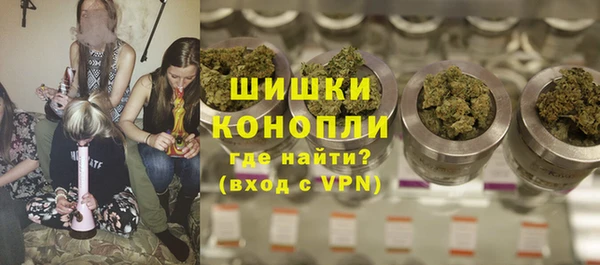 сатива Михайлов